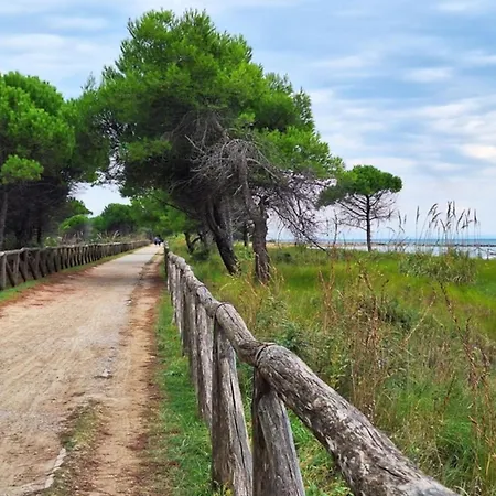 公寓 Cozy Flat Near The