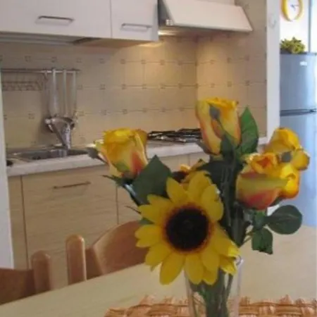 Cozy Flat Near The * ביביונה