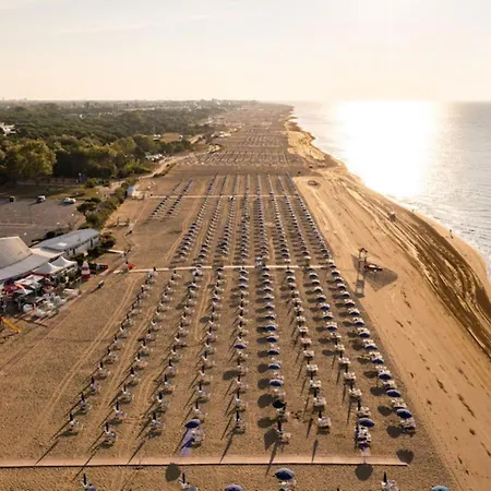 Cozy Flat Near The Appartement *